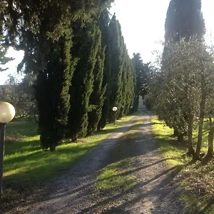Alloggio in famiglia Sunshine, Firenze